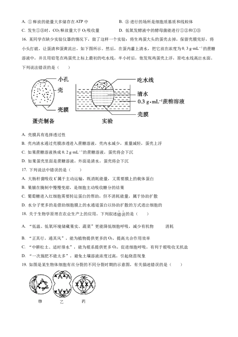宁夏回族自治区石嘴山市第一中学2024-2025学年高一上学期1月期末生物试题Word版无答案_2025年03月试卷_0316宁夏回族自治区石嘴山市第一中学2024-2025学年高一上学期1月期末考试