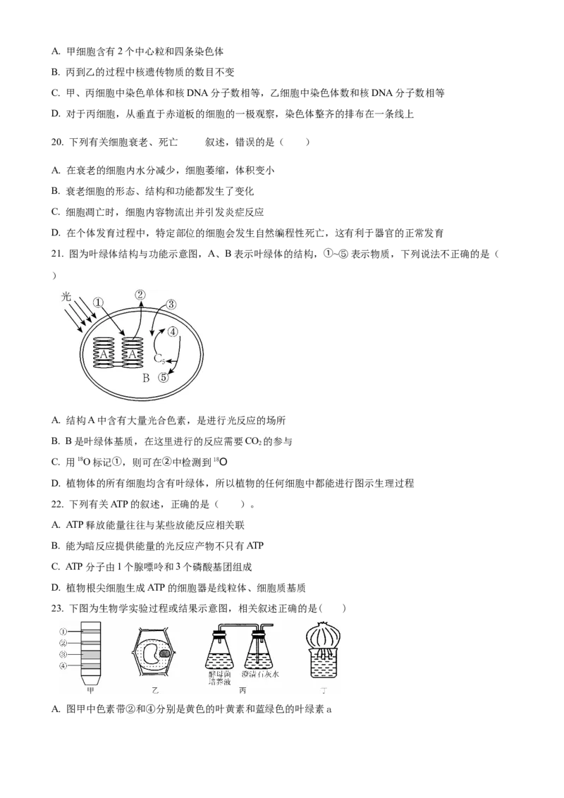 宁夏回族自治区石嘴山市第一中学2024-2025学年高一上学期1月期末生物试题Word版无答案_2025年03月试卷_0316宁夏回族自治区石嘴山市第一中学2024-2025学年高一上学期1月期末考试