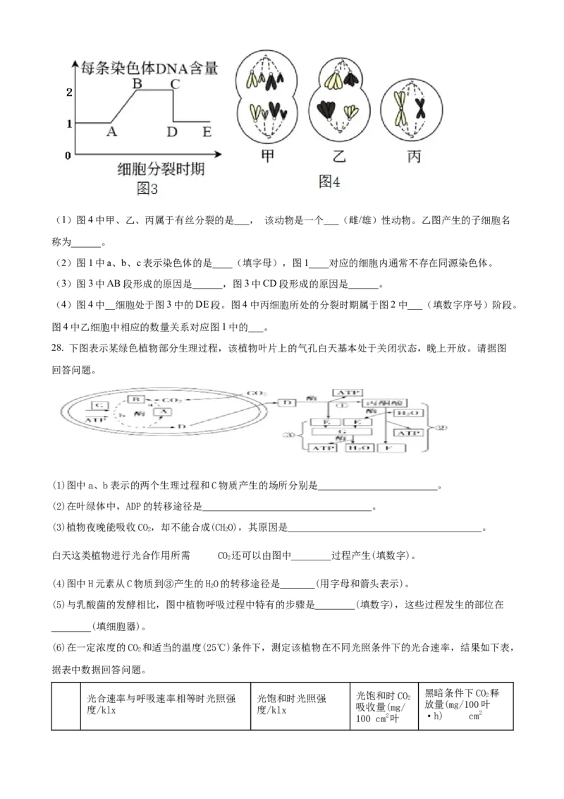 宁夏回族自治区石嘴山市第一中学2024-2025学年高一上学期1月期末生物试题Word版无答案_2025年03月试卷_0316宁夏回族自治区石嘴山市第一中学2024-2025学年高一上学期1月期末考试