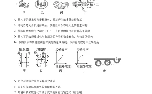 宁夏回族自治区石嘴山市第一中学2024-2025学年高一上学期1月期末生物试题Word版无答案_2025年03月试卷_0316宁夏回族自治区石嘴山市第一中学2024-2025学年高一上学期1月期末考试