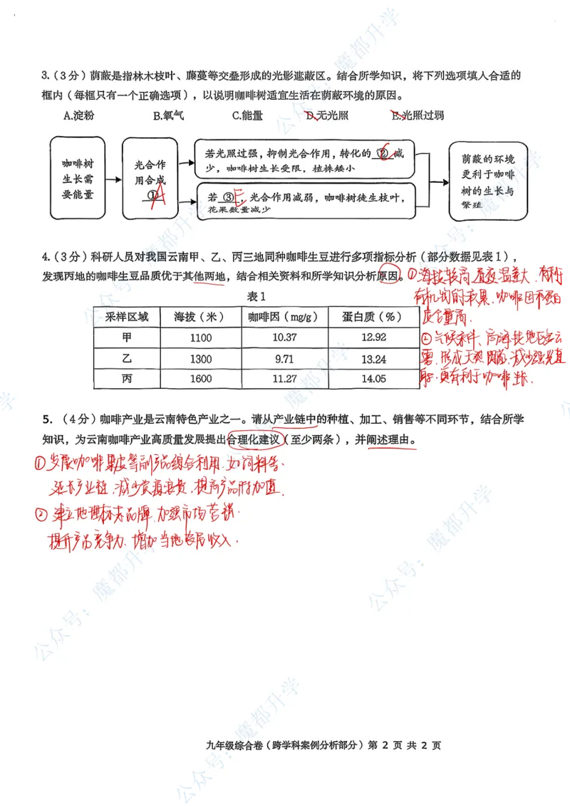 长宁跨学科手写参考答案_0122026上海中考一模二模真题试卷_2026上海二模更新中1_长宁