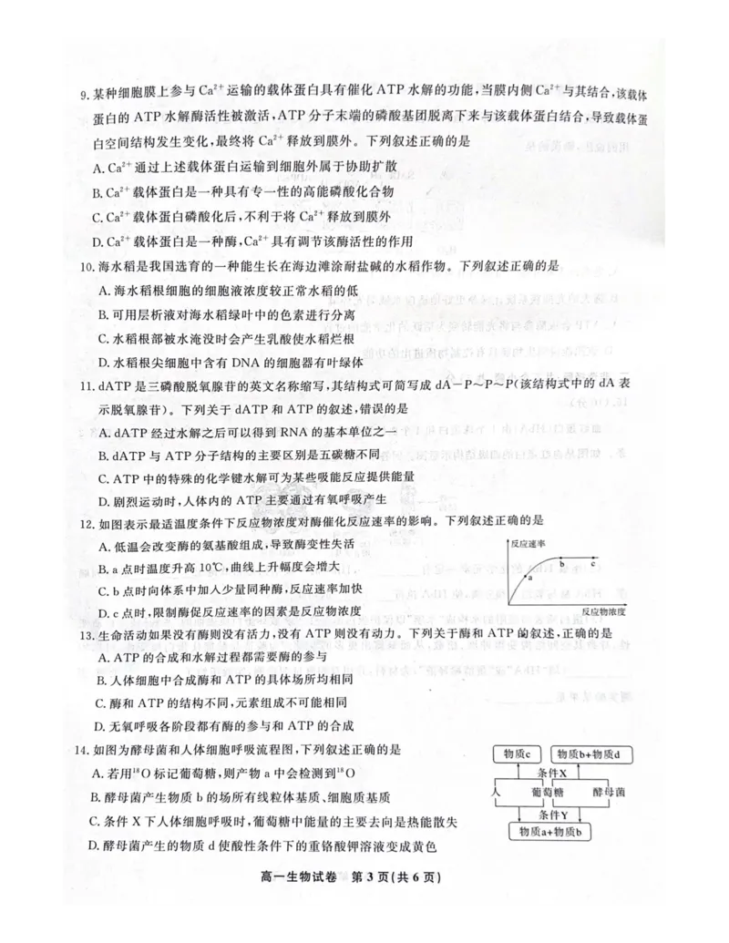安徽省涡阳县2024-2025学年高一上学期1月期末生物试题_2025年03月试卷_0312安徽省亳州市涡阳县2024-2025学年高一上学期1月期末考试
