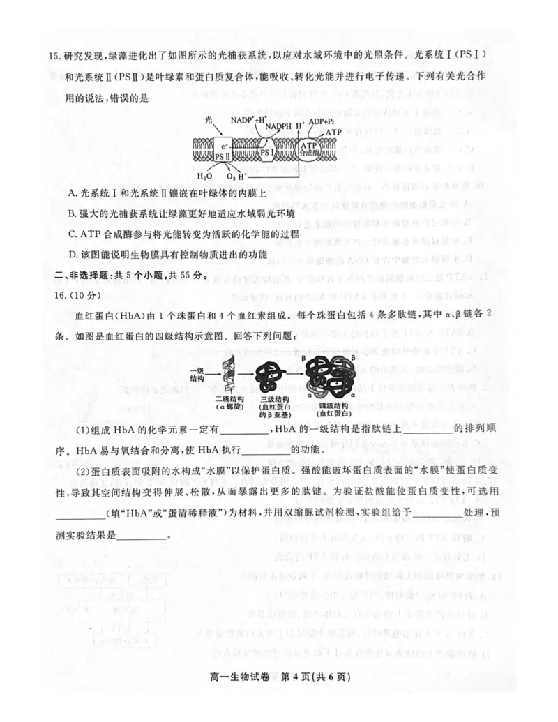 安徽省涡阳县2024-2025学年高一上学期1月期末生物试题_2025年03月试卷_0312安徽省亳州市涡阳县2024-2025学年高一上学期1月期末考试