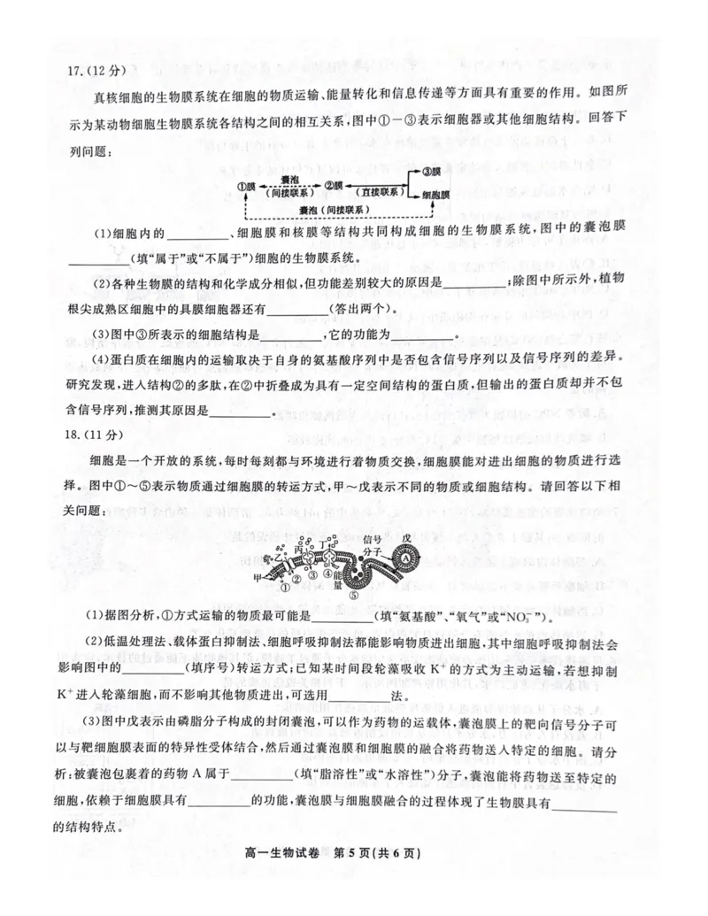 安徽省涡阳县2024-2025学年高一上学期1月期末生物试题_2025年03月试卷_0312安徽省亳州市涡阳县2024-2025学年高一上学期1月期末考试