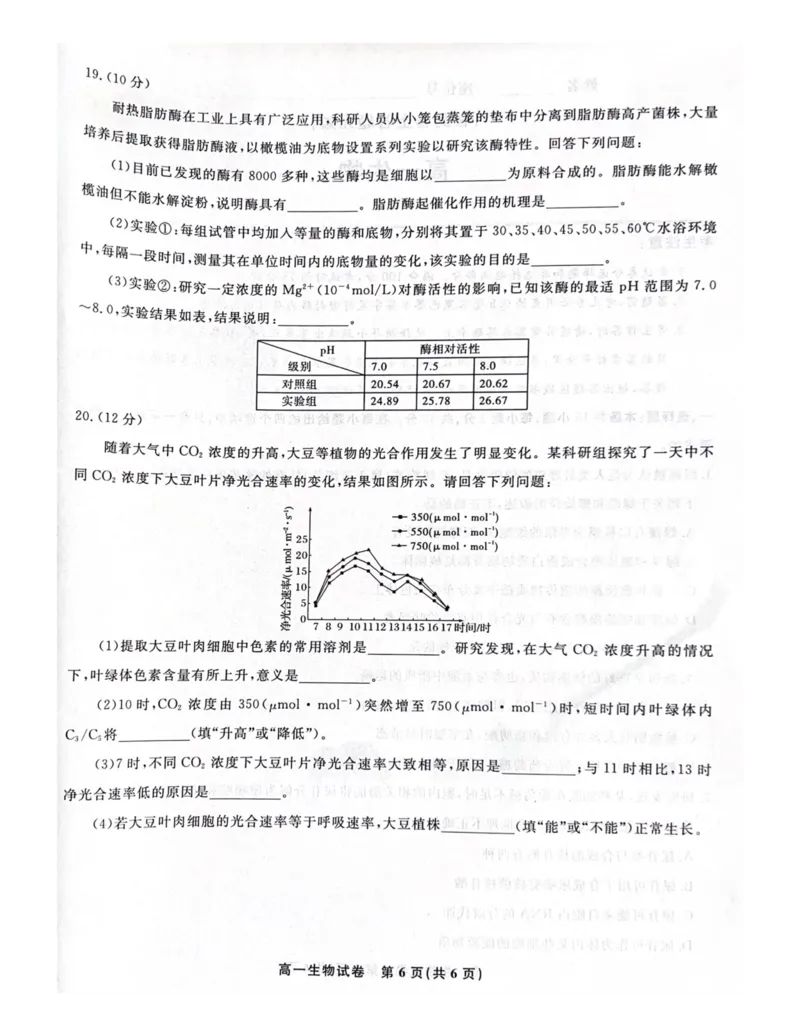 安徽省涡阳县2024-2025学年高一上学期1月期末生物试题_2025年03月试卷_0312安徽省亳州市涡阳县2024-2025学年高一上学期1月期末考试