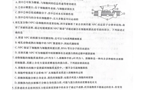 安徽省涡阳县2024-2025学年高一上学期1月期末生物试题_2025年03月试卷_0312安徽省亳州市涡阳县2024-2025学年高一上学期1月期末考试