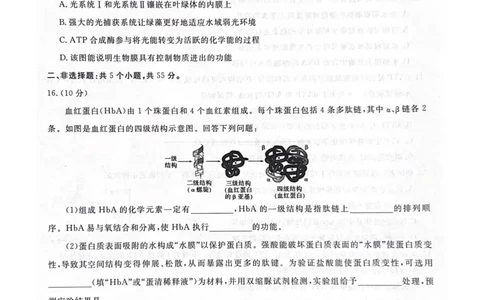 安徽省涡阳县2024-2025学年高一上学期1月期末生物试题_2025年03月试卷_0312安徽省亳州市涡阳县2024-2025学年高一上学期1月期末考试