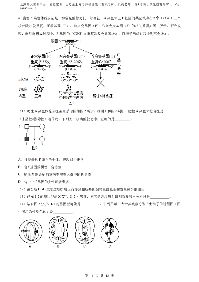 精品解析：2023届上海市徐汇区高三二模生物试题（解析版）_0122026上海中考一模二模真题试卷_2026年上海一模_上海1500初中高中试卷_高中_高三_模拟卷_生物
