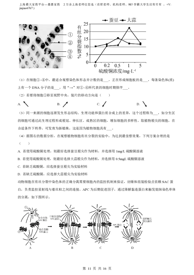 精品解析：上海市华东师范大学二附中2022-2023学年高一下学期期中生物试题（解析版）_0122026上海中考一模二模真题试卷_2026年上海一模_上海1500初中高中试卷_高中_高一_下学期_2：期中