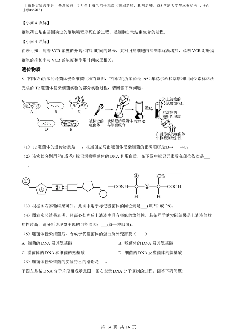 精品解析：上海市华东师范大学二附中2022-2023学年高一下学期期中生物试题（解析版）_0122026上海中考一模二模真题试卷_2026年上海一模_上海1500初中高中试卷_高中_高一_下学期_2：期中