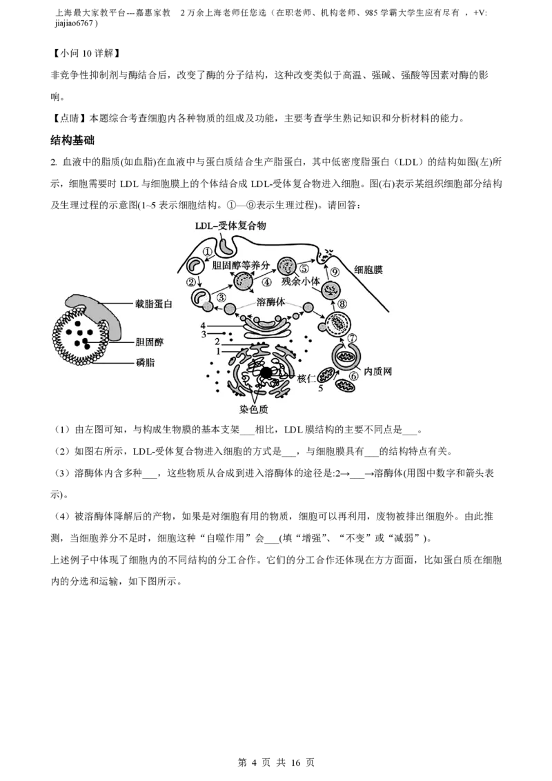 精品解析：上海市华东师范大学二附中2022-2023学年高一下学期期中生物试题（解析版）_0122026上海中考一模二模真题试卷_2026年上海一模_上海1500初中高中试卷_高中_高一_下学期_2：期中