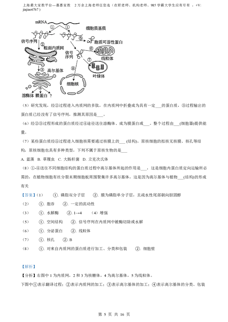 精品解析：上海市华东师范大学二附中2022-2023学年高一下学期期中生物试题（解析版）_0122026上海中考一模二模真题试卷_2026年上海一模_上海1500初中高中试卷_高中_高一_下学期_2：期中