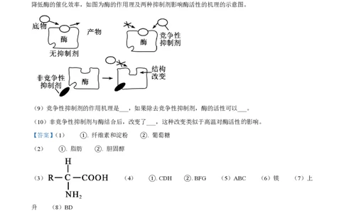 精品解析：上海市华东师范大学二附中2022-2023学年高一下学期期中生物试题（解析版）_0122026上海中考一模二模真题试卷_2026年上海一模_上海1500初中高中试卷_高中_高一_下学期_2：期中
