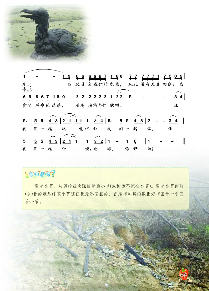 义务教育教科书&middot;音乐五年级上册_电子课本_小学电子课本_06音乐_西南师大版