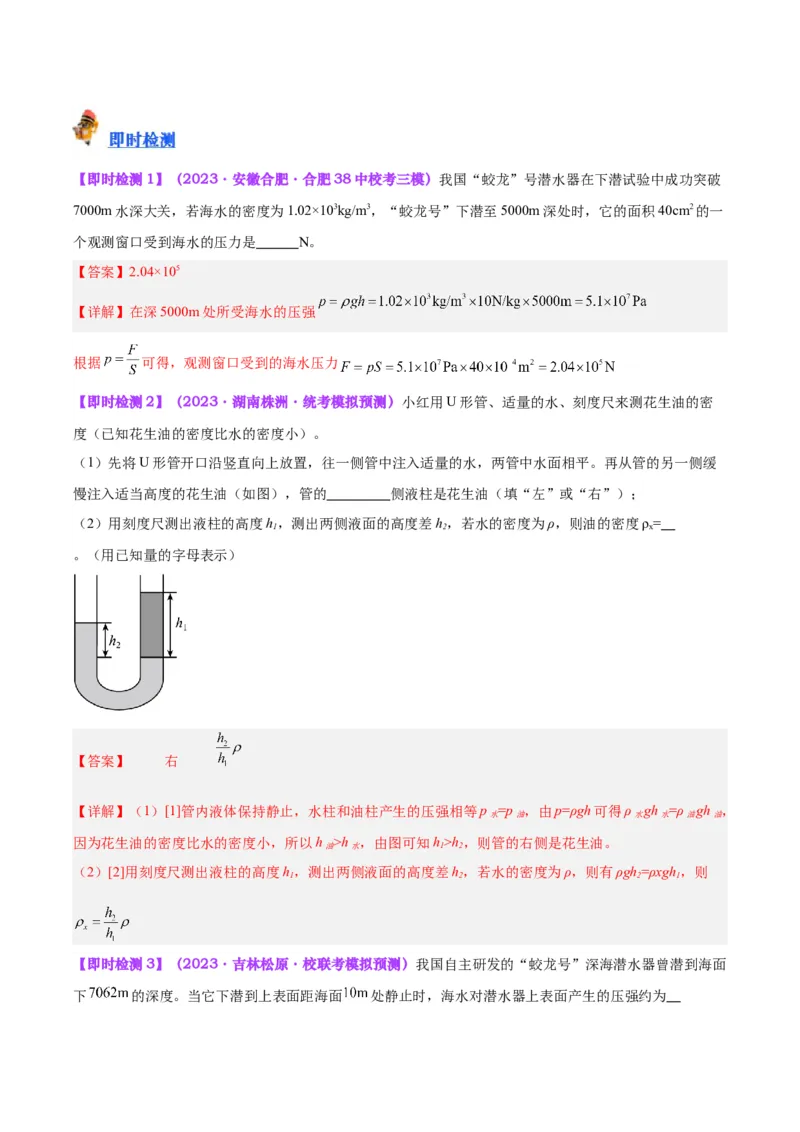 专题11液体压强（解析版）_8、物理总复习_8.中考物理总复习_2024年中考复习资料_一轮复习资料_完备战2024年中考物理一轮复习讲义练习（全国通用）_教师版（含答案解析）