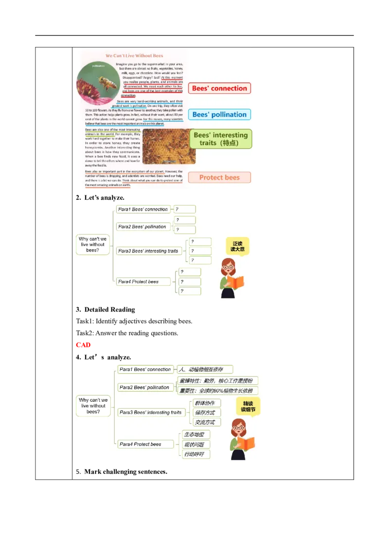 Unit4课时4SectionB（1a-1f）（导学案）_最新人教版英语八年级上册_新版_初中英语8上新更新第一套可选择_01.U4-U5.英语8上-教案+PPT课件+导学案+分层作业第1套_Unit4