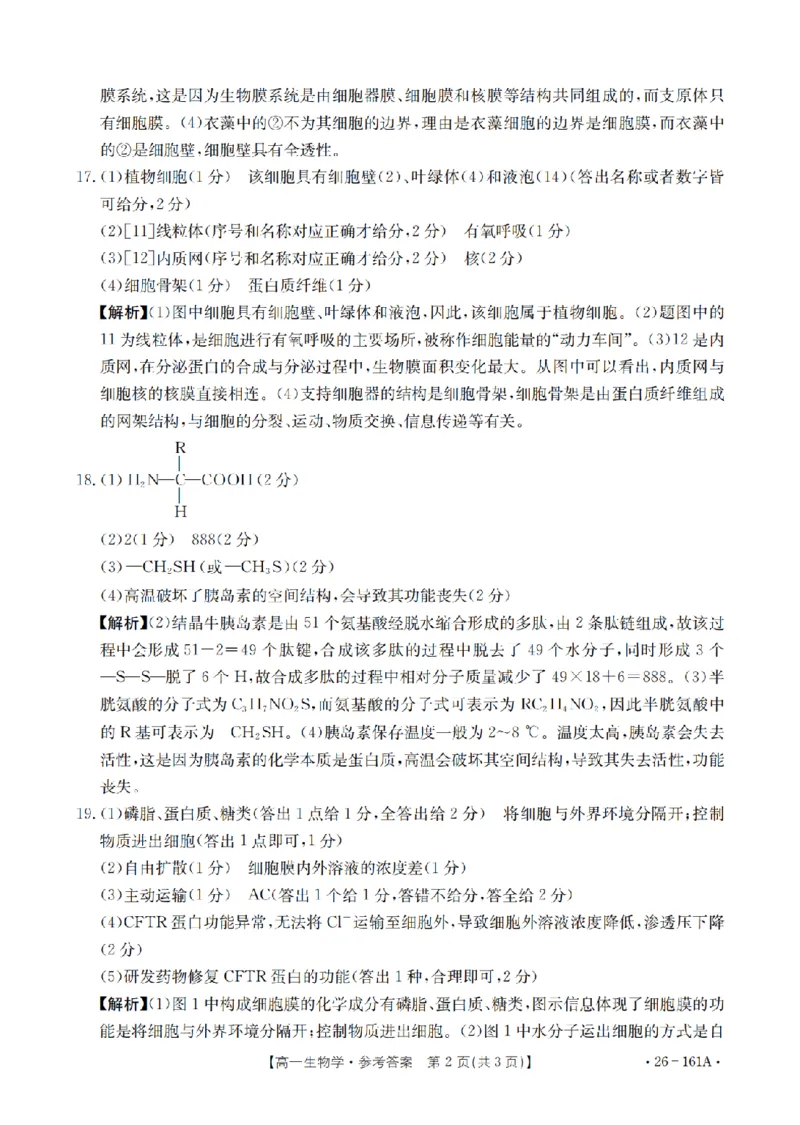 安徽省2025-2026学年高一上学期12月月考（26-161A）生物答案_2026年01月高一试卷_260117金太阳&middot;安徽省2025-2026学年高一上学期12月月考（26-161A）（全）
