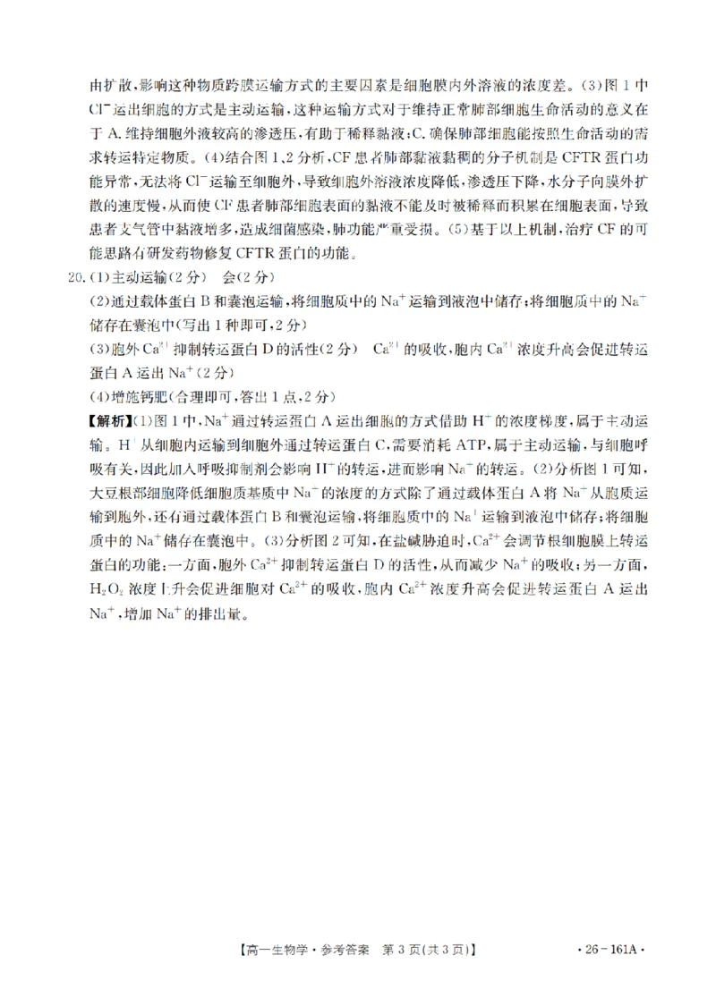 安徽省2025-2026学年高一上学期12月月考（26-161A）生物答案_2026年01月高一试卷_260117金太阳&middot;安徽省2025-2026学年高一上学期12月月考（26-161A）（全）