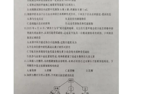山东省临沂市临沭第一中学等校2025-2026学年高一上学期10月联考试题生物PDF版含解析_2025年11月高一试卷_251104山东省临沂市临沭第一中学等校2025-2026学年高一上学期10月联考试题