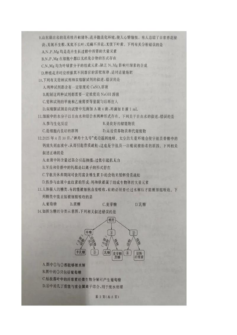 山东省临沂市临沭第一中学等校2025-2026学年高一上学期10月联考试题生物PDF版含解析_2025年11月高一试卷_251104山东省临沂市临沭第一中学等校2025-2026学年高一上学期10月联考试题