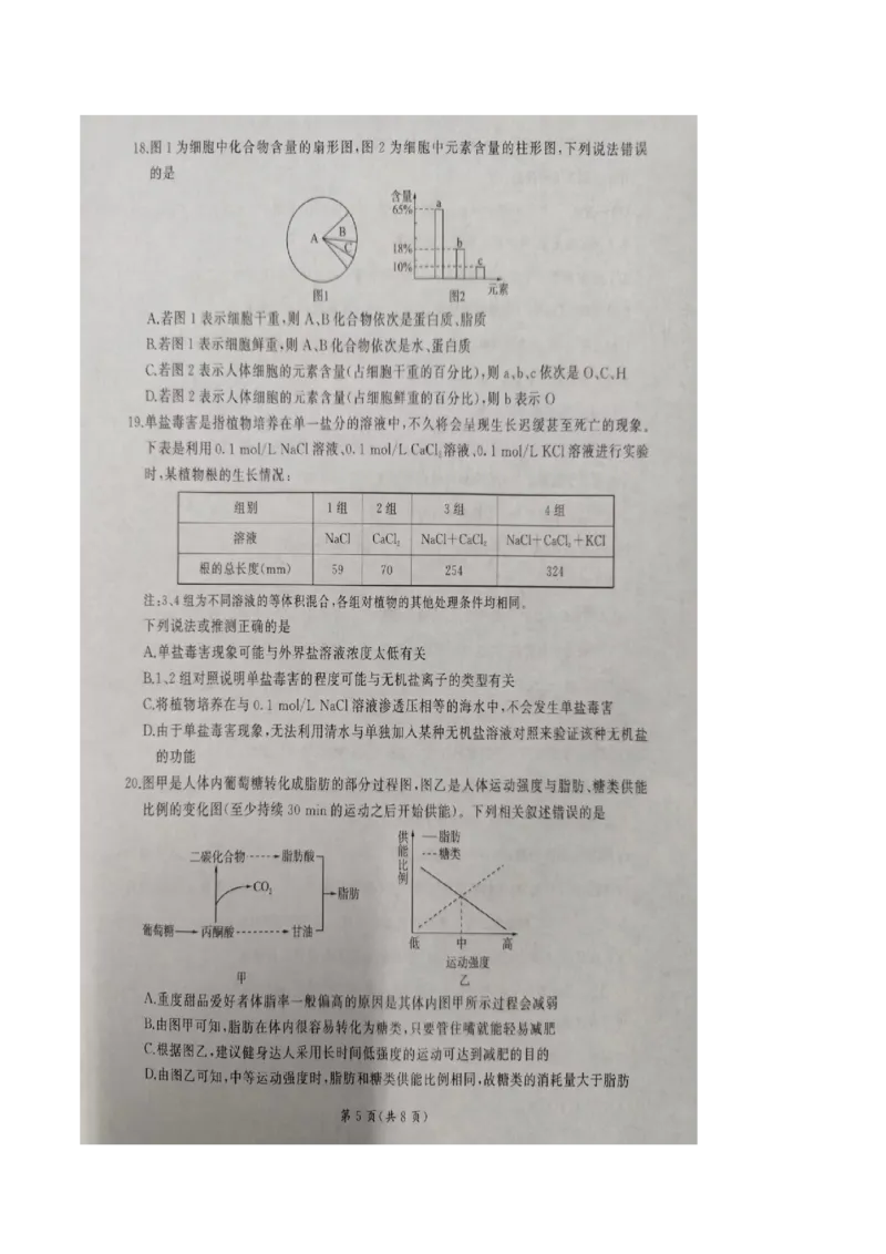 山东省临沂市临沭第一中学等校2025-2026学年高一上学期10月联考试题生物PDF版含解析_2025年11月高一试卷_251104山东省临沂市临沭第一中学等校2025-2026学年高一上学期10月联考试题