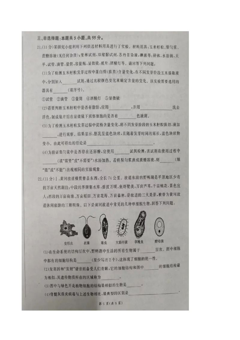 山东省临沂市临沭第一中学等校2025-2026学年高一上学期10月联考试题生物PDF版含解析_2025年11月高一试卷_251104山东省临沂市临沭第一中学等校2025-2026学年高一上学期10月联考试题