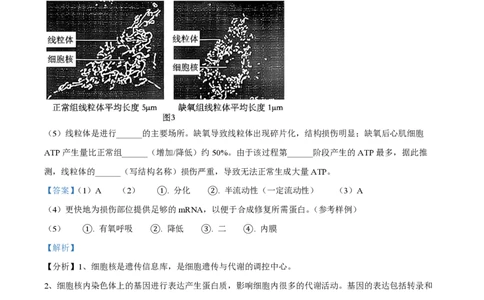 精品解析：上海交通大学附属中学2022-2023学年高一下学期期末生物试题（解析版）_0122026上海中考一模二模真题试卷_2026年上海一模_上海1500初中高中试卷_高中_高一_下学期_3：期末