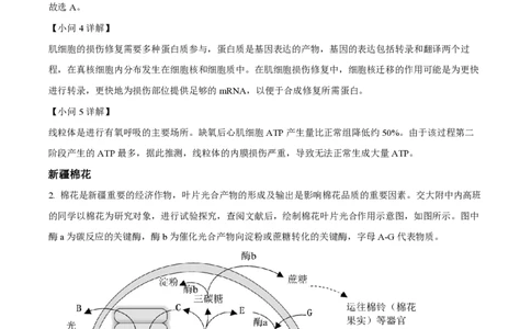 精品解析：上海交通大学附属中学2022-2023学年高一下学期期末生物试题（解析版）_0122026上海中考一模二模真题试卷_2026年上海一模_上海1500初中高中试卷_高中_高一_下学期_3：期末