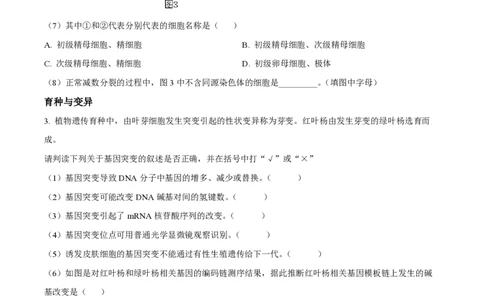 精品解析：上海市奉贤区致远高级中学2022-2023学年高一下学期期末教学评估生物试题（原卷版）_0122026上海中考一模二模真题试卷_2026年上海一模_上海1500初中高中试卷_高中_高一_下学期