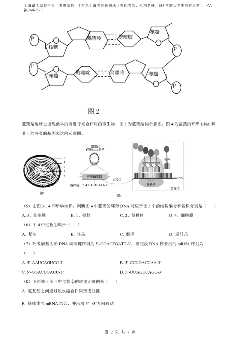 精品解析：上海市奉贤区致远高级中学2022-2023学年高一下学期期末教学评估生物试题（原卷版）_0122026上海中考一模二模真题试卷_2026年上海一模_上海1500初中高中试卷_高中_高一_下学期