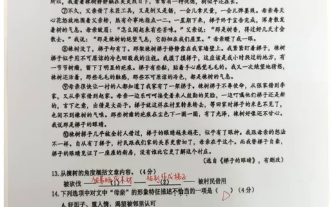 徐汇二模语文答案（手写参考版）_0122026上海中考一模二模真题试卷_2026上海二模更新中1_徐汇