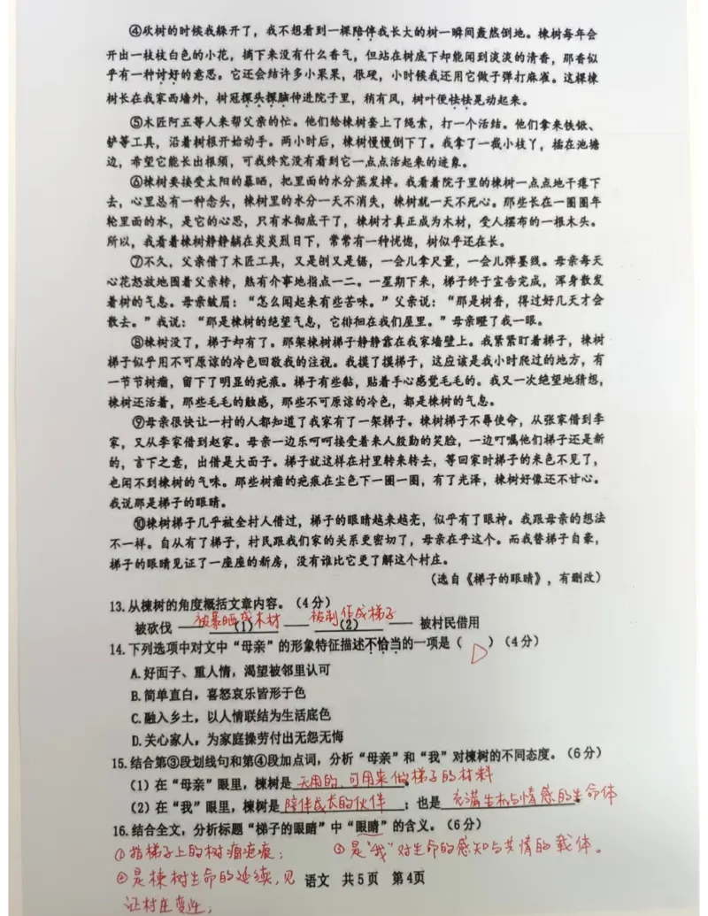徐汇二模语文答案（手写参考版）_0122026上海中考一模二模真题试卷_2026上海二模更新中1_徐汇