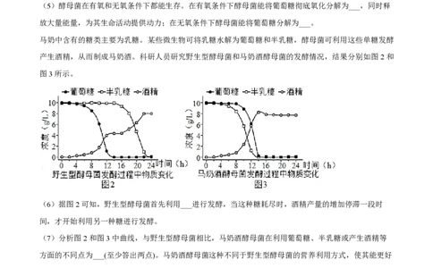 精品解析：上海市交通大学附中2022-2023学年高二下开学摸底考生物试题（解析版）_0122026上海中考一模二模真题试卷_2026年上海一模_上海1500初中高中试卷_高中_高二_下学期_1：月考