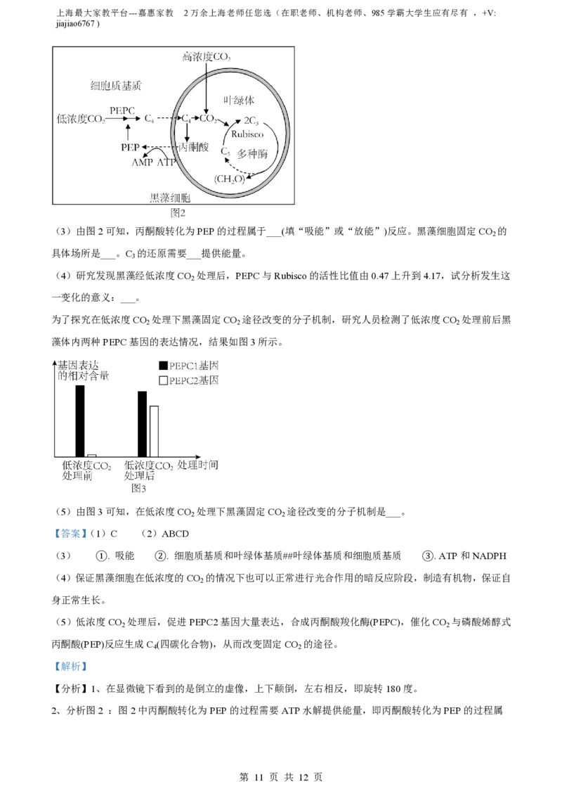 精品解析：上海市交通大学附中2022-2023学年高二下开学摸底考生物试题（解析版）_0122026上海中考一模二模真题试卷_2026年上海一模_上海1500初中高中试卷_高中_高二_下学期_1：月考