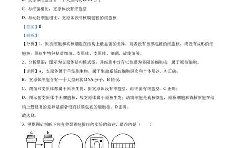 山东省枣庄市滕州市2024-2025学年高一上学期11月期中生物试题Word版含解析_2024年12月试卷_1217山东省枣庄市滕州市2024-2025学年高一上学期11月期中考试