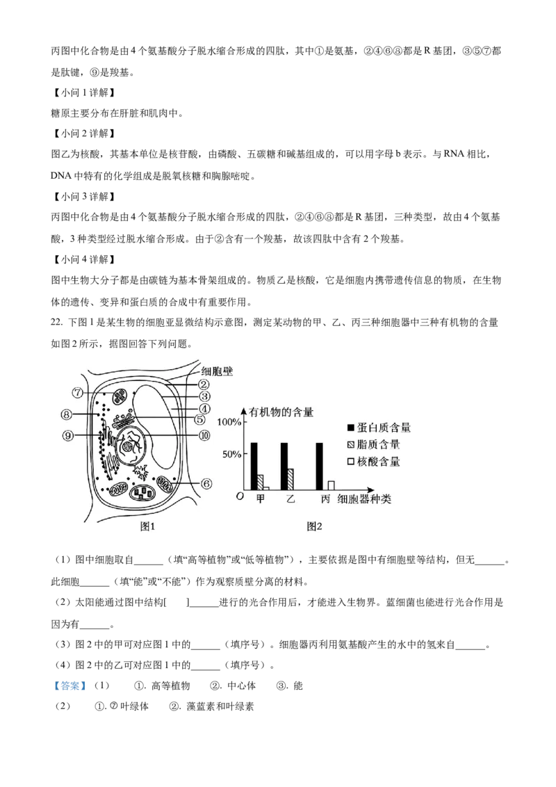 山东省枣庄市滕州市2024-2025学年高一上学期11月期中生物试题Word版含解析_2024年12月试卷_1217山东省枣庄市滕州市2024-2025学年高一上学期11月期中考试