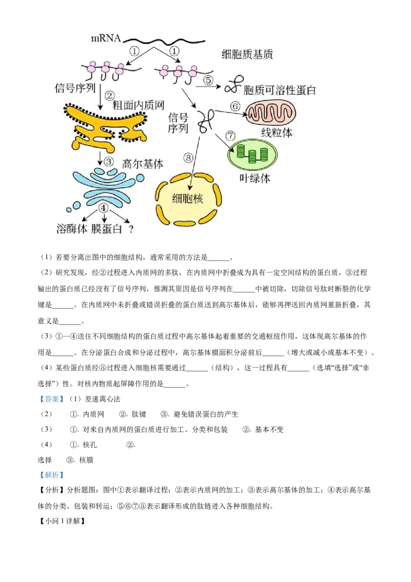 山东省枣庄市滕州市2024-2025学年高一上学期11月期中生物试题Word版含解析_2024年12月试卷_1217山东省枣庄市滕州市2024-2025学年高一上学期11月期中考试