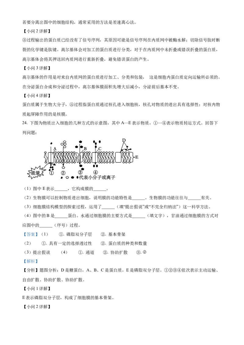 山东省枣庄市滕州市2024-2025学年高一上学期11月期中生物试题Word版含解析_2024年12月试卷_1217山东省枣庄市滕州市2024-2025学年高一上学期11月期中考试