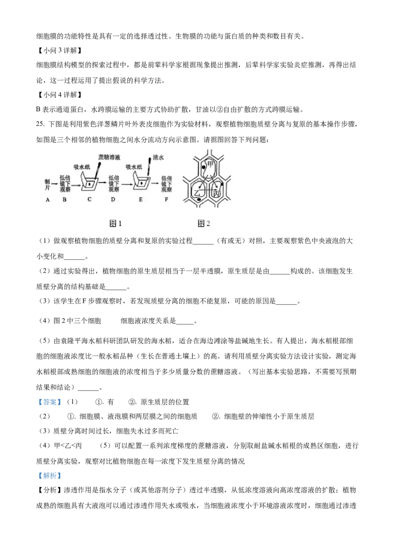 山东省枣庄市滕州市2024-2025学年高一上学期11月期中生物试题Word版含解析_2024年12月试卷_1217山东省枣庄市滕州市2024-2025学年高一上学期11月期中考试