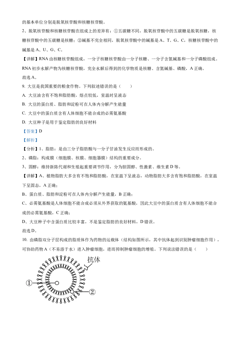 山东省枣庄市滕州市2024-2025学年高一上学期11月期中生物试题Word版含解析_2024年12月试卷_1217山东省枣庄市滕州市2024-2025学年高一上学期11月期中考试