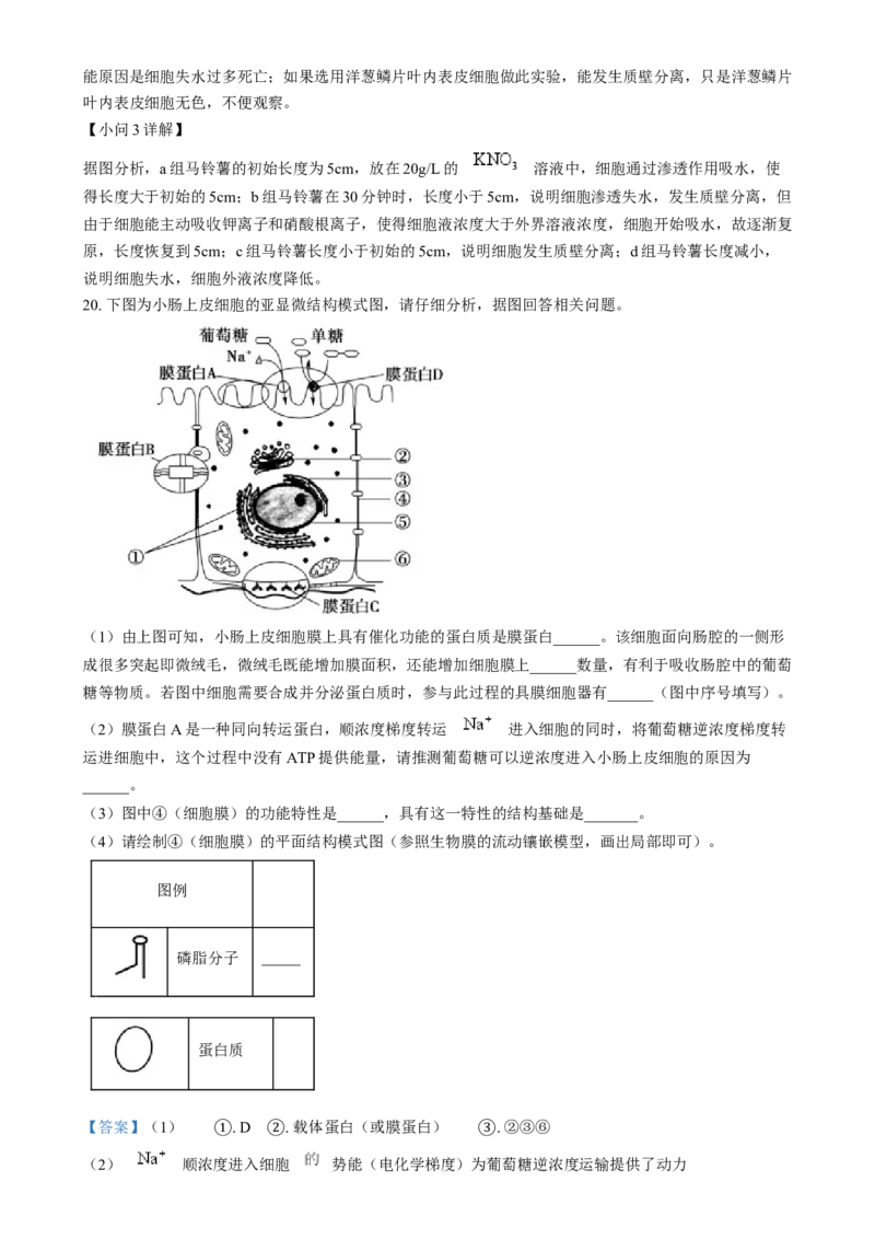 安徽省江南十校2024-2025学年高一上学期12月分科诊断联考生物试题Word版含解析_2025年01月试卷_0112安徽省江南十校2024-2025学年高一上学期12月份分科诊断考试