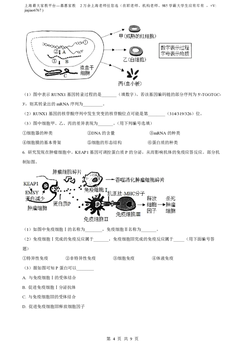 精品解析：上海市交通大学附中2022-2023学年高二下学期期中生物试题（等级班）（原卷版）_0122026上海中考一模二模真题试卷_2026年上海一模_上海1500初中高中试卷_高中_高一_下学期