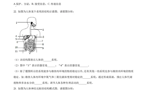 精品解析：上海市徐汇中学2022-2023学年八年级上学期期末生物试题（原卷版）_0122026上海中考一模二模真题试卷_2026年上海一模_上海1500初中高中试卷_初中_八年级_上学期_3：期末