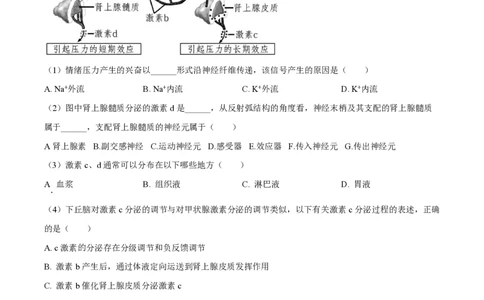 精品解析：上海市华东师范大学第二附属中学2022-2023学年高二下学期期中生物试题（原卷版）_0122026上海中考一模二模真题试卷_2026年上海一模_上海1500初中高中试卷_高中_高二_下学期