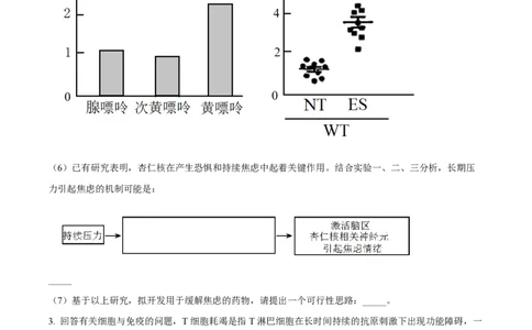 精品解析：上海市华东师范大学第二附属中学2022-2023学年高二下学期期中生物试题（原卷版）_0122026上海中考一模二模真题试卷_2026年上海一模_上海1500初中高中试卷_高中_高二_下学期