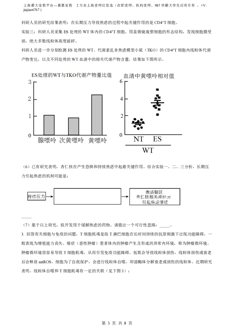 精品解析：上海市华东师范大学第二附属中学2022-2023学年高二下学期期中生物试题（原卷版）_0122026上海中考一模二模真题试卷_2026年上海一模_上海1500初中高中试卷_高中_高二_下学期