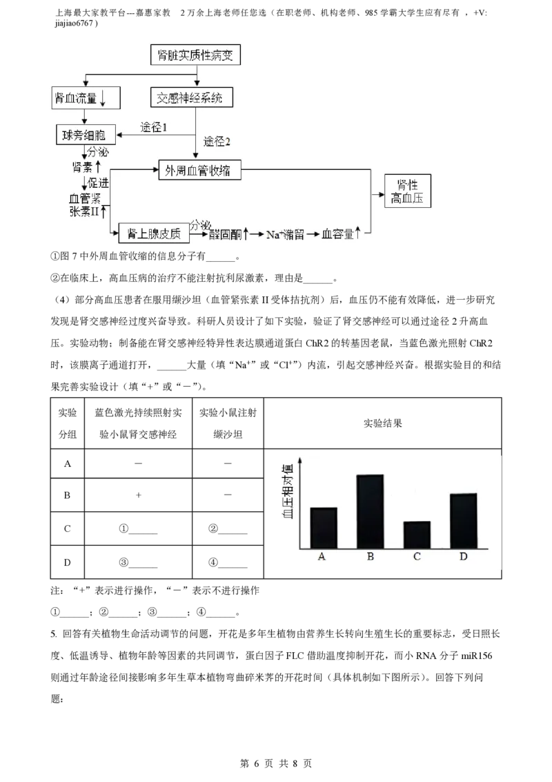 精品解析：上海市华东师范大学第二附属中学2022-2023学年高二下学期期中生物试题（原卷版）_0122026上海中考一模二模真题试卷_2026年上海一模_上海1500初中高中试卷_高中_高二_下学期