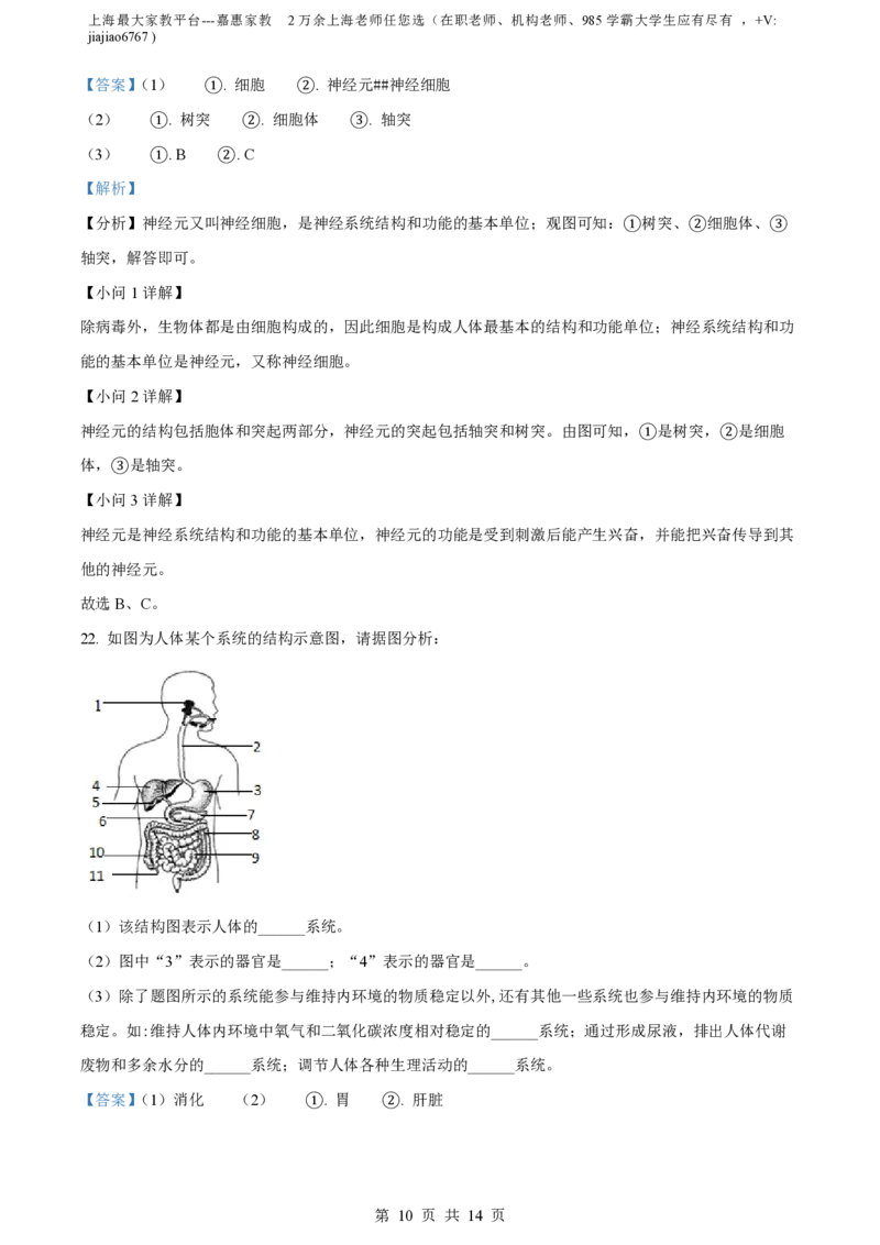 精品解析：上海市徐汇中学2022-2023学年八年级上学期期末生物试题（解析版）_0122026上海中考一模二模真题试卷_2026年上海一模_上海1500初中高中试卷_初中_八年级_上学期_3：期末