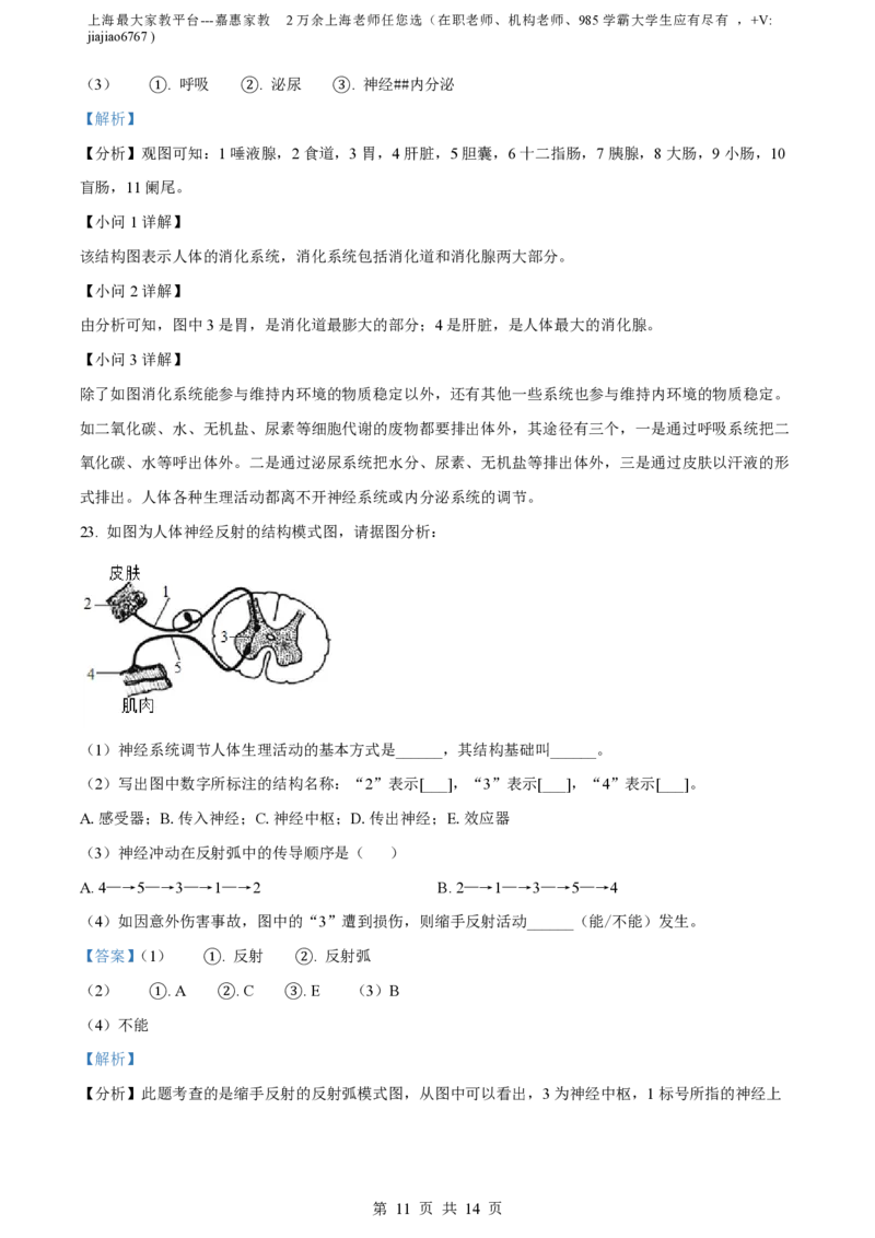 精品解析：上海市徐汇中学2022-2023学年八年级上学期期末生物试题（解析版）_0122026上海中考一模二模真题试卷_2026年上海一模_上海1500初中高中试卷_初中_八年级_上学期_3：期末