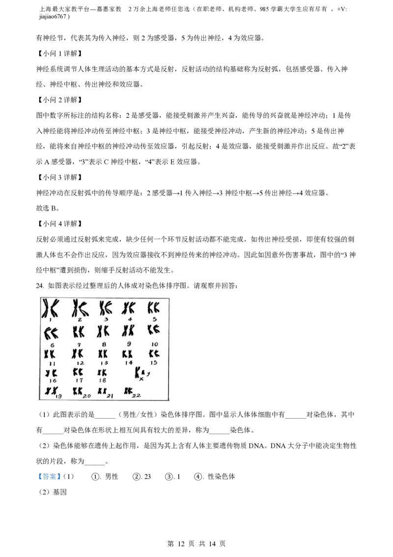 精品解析：上海市徐汇中学2022-2023学年八年级上学期期末生物试题（解析版）_0122026上海中考一模二模真题试卷_2026年上海一模_上海1500初中高中试卷_初中_八年级_上学期_3：期末